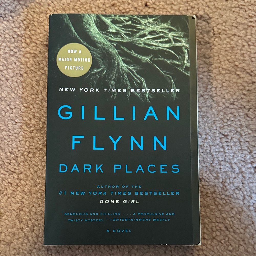 Dark Places by Gillian Flynn Paperback